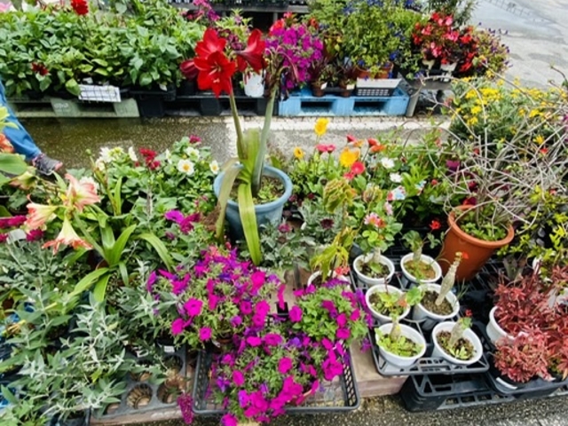 ��_���̉w ���Ƃ܂�