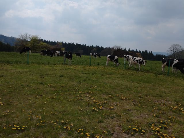 ���q����Ă��܂�_�Z�C�t����