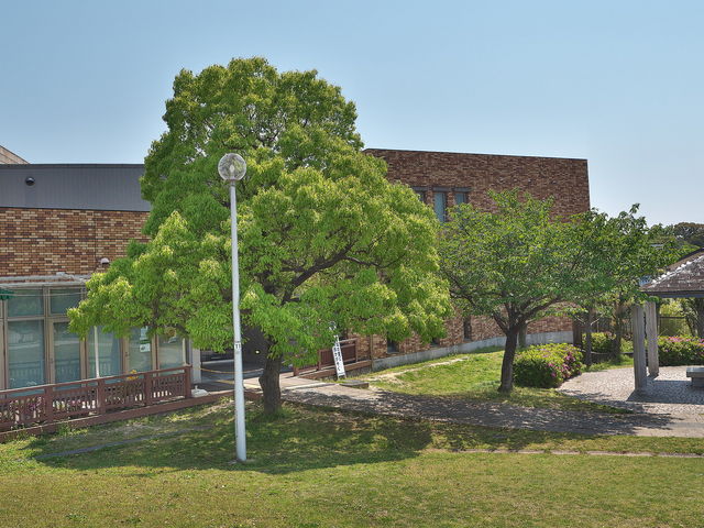 sklfh̍s݂͂jق̓eʐ^1