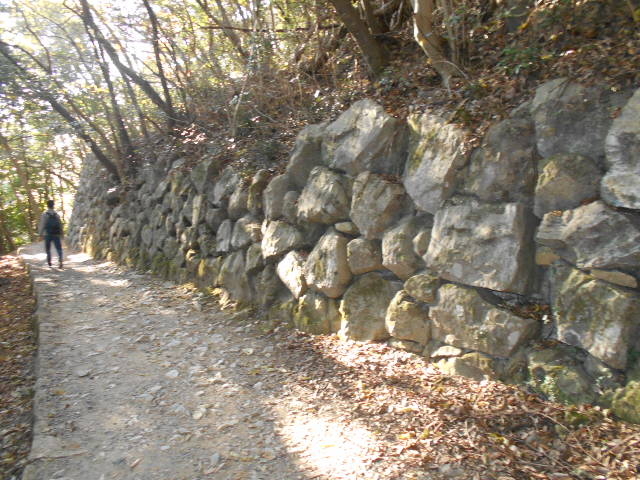 gV[̊⍑k̊ۗV^΂̓eʐ^1