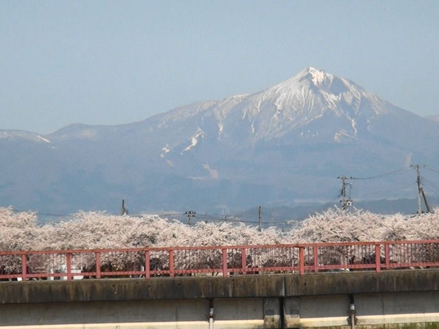 �֒�R�Ƌ{���{��_�{��͔Ȍ���