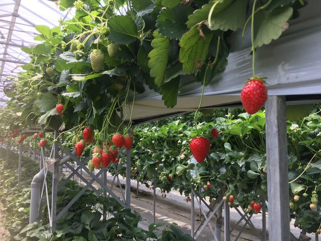 �Ԉ֎q��x�r�[�J�[�A�q���ڐ��ȂǍ����̈Ⴂ������E�݂₷�������ł��B_�x�ÃA�N�A�t�@�[��