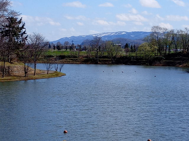 O΂łB̂̓`EUłB_XьтӂACh