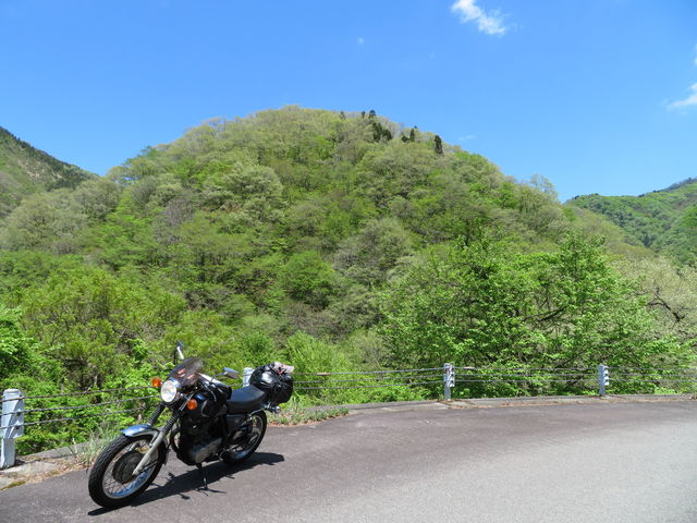 �R�͂��ꂩ��܂��܂��萁���܂��B_�㓪����