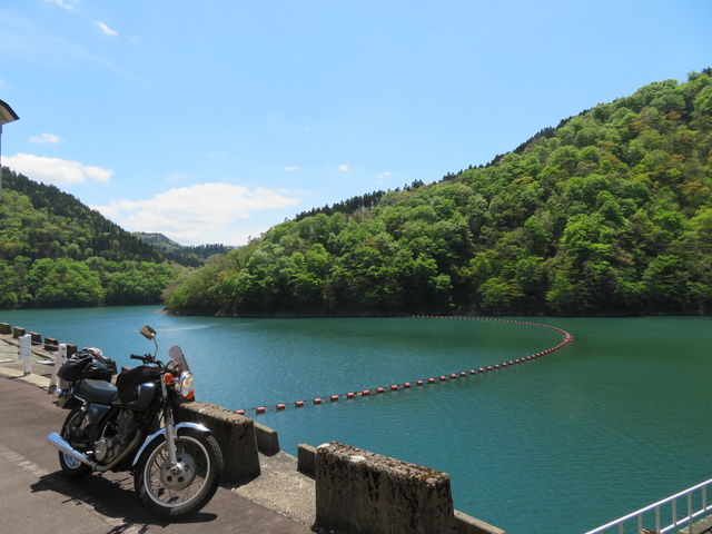 ���ʂ̓G�������h�O���[���B_�㓪����