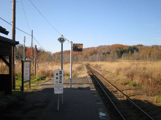 �z�[��_�����G�w