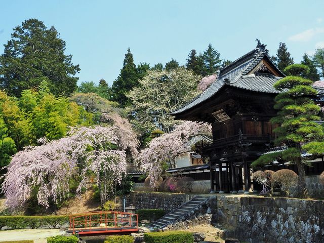 ������񂳂�̑��V���̂�������̓��e�ʐ^2