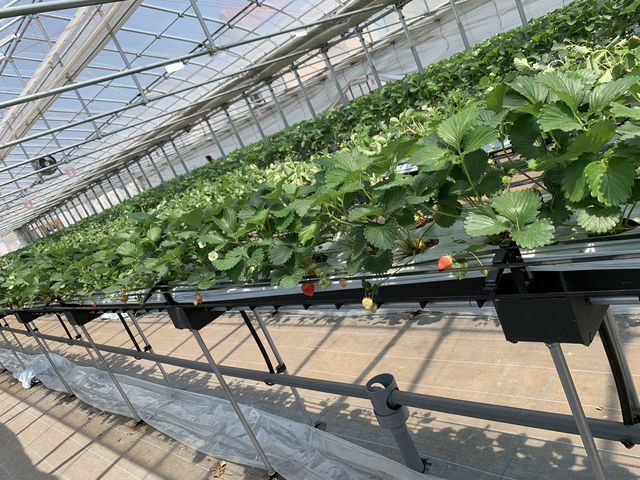 �B_�c����