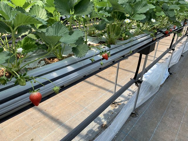 �B_�c����