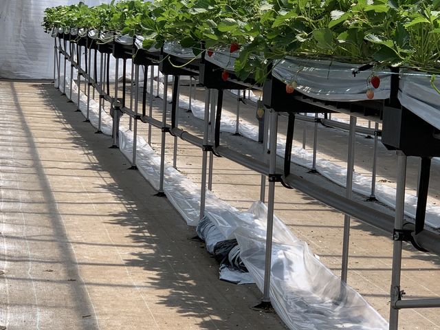 �B_�c����