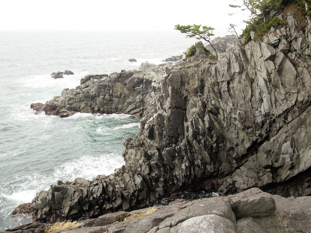 s藧BAXC݂̓łˁB_Lc艀n