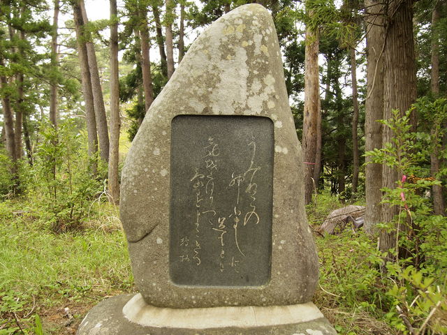 VɌĂĂ̔iȁHjBu݂˂́cvƉ̂܂Ă܂B_Lc艀n