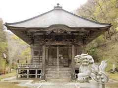 ���q����̊Փ��@�ւ̓��e�ʐ^1