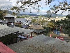 �܂�����񂳂�̔�O���X���ւ̓��e�ʐ^1