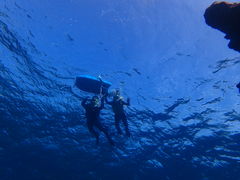 Ȃ񂳂Nature Guide Double Rainbow lC`[KCh@_uC{[ւ̓eʐ^1