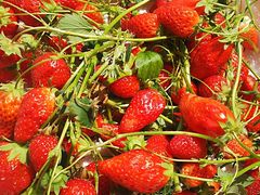 ܂낿񂳂݂̂悵ςςt@[ւ̓eʐ^1