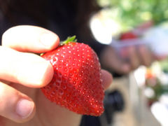 mimimĩXgx[tB[hւ̓eʐ^2