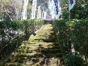 ������������̐��{���@�ۂ̊K�i�̓��e�ʐ^1