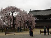 ^{剤̋ъwZZɂ̓eʐ^1