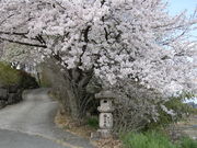 jkammy07̊萬̓eʐ^9