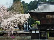 ������񂳂�̑��V���̂�������̓��e�ʐ^4