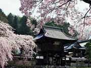 ������񂳂�̑��V���̂�������̓��e�ʐ^5