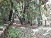 Ƃ-񂳂̑呐Ղ̓eʐ^4