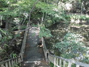 Ƃ-񂳂̑呐Ղ̓eʐ^5