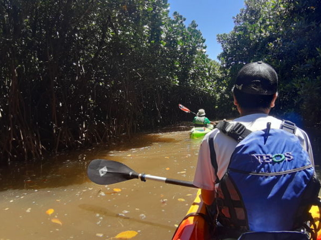 �������ł͒T�����̂悤�ł��B_���΂�ē��l�@Tida-Smile