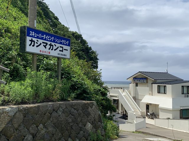 �J�V�}�J���R�[����_�_�C�r���O �V���m�[�P�����O �J�V�}�J���R�[