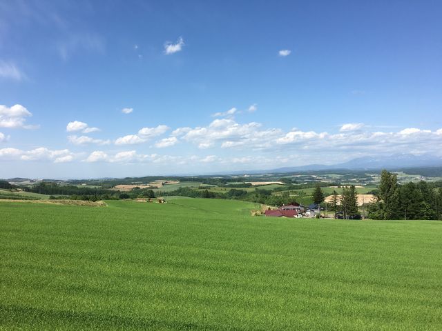 ������鎩�R_��]���Ԃƌe���̍L��