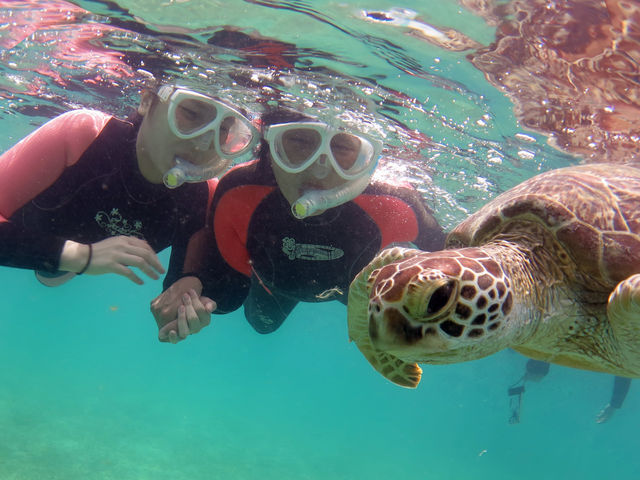 �C�T�Ƒ���_�A�}�~�G���V�X