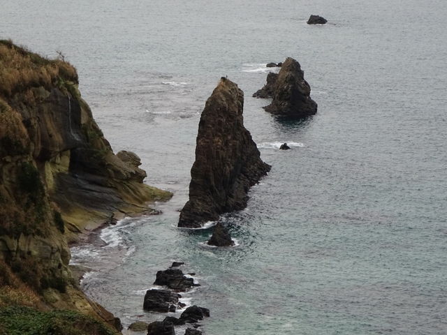 ������_������