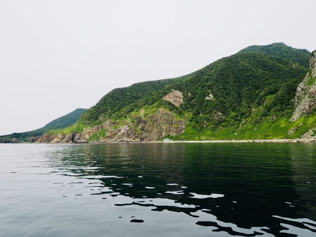 ���^�N���[�U�[�Ȃ�ł͂̏����̗ǂ��𐶂����āA��ԋ߂��C�ォ�琢�E���R��Y�m���𖞋i�ł��܂��B_�m�����E��Y�N���[�YFOX��