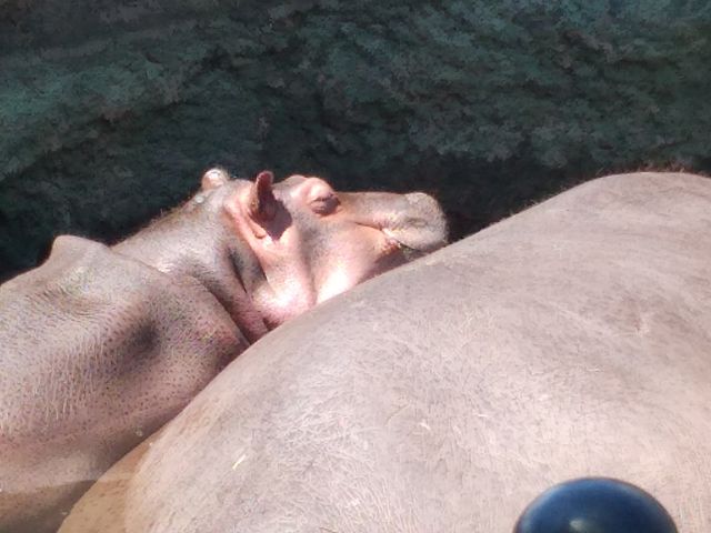 �������}�}�̂��΂ɂ����!!_���R������