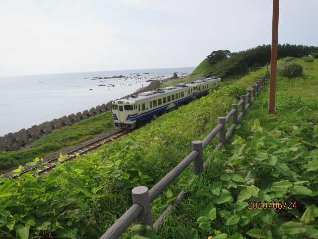 �ܔ\���̗�Ԃ��h���s�V���B�e�ł��܂����B_�ܔ\��