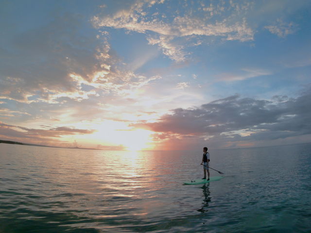 �B���Ă����������ʐ^_ISLAND JOURNEY