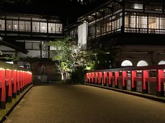 񂿂ȃIW̎l@ϑPقւ̓eʐ^1