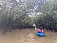 yopppĩTSƃhJւ̓eʐ^1