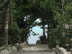 }EX̔̃tNM؂ւ̓eʐ^1