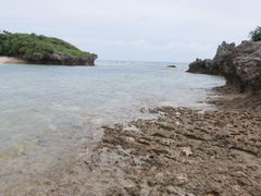 }EX̔̃tNM؂ւ̓eʐ^2