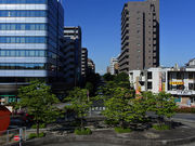 Ă܂肳̕xmeX̓eʐ^2