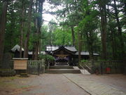 ^{剤̖FE_Ђ̎Бp̓eʐ^1