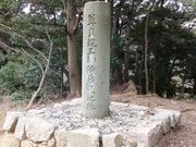 ���ڂ炳��̋������Ղ̓��e�ʐ^1