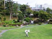 ڂ炳̕󗲉@뉀̓eʐ^1