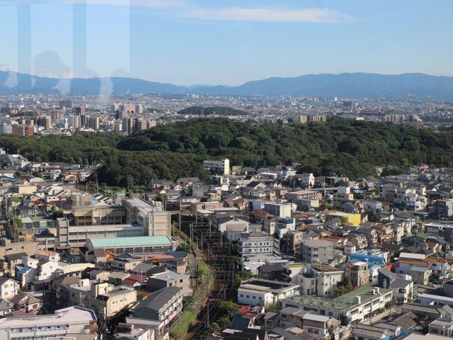 �Õ��Q_�S�㒹�Õ��Q