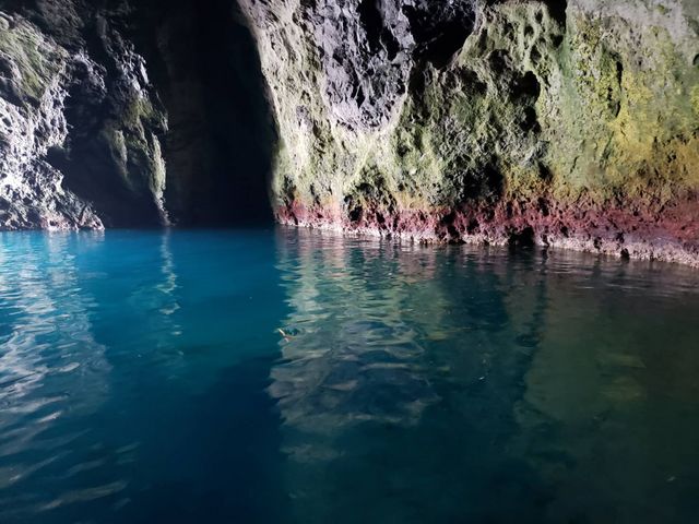 �_��I�Ȑł����B
�ʐ^�������ĂƂ��Ă����̂ŁA��������ꂵ�������ł��B_�̓��A���M�N���[�W���O�v�����}����