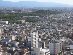 񂳂̕S㒹ÕQւ̓eʐ^1