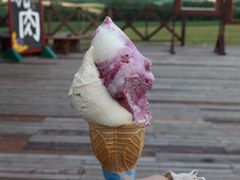 񂳂̐[RACXH[ւ̓eʐ^1