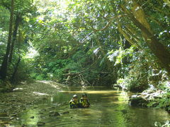 _HABU ASOBIւ̓eʐ^4